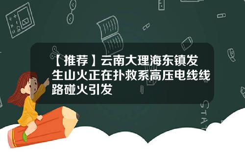 【推荐】云南大理海东镇发生山火正在扑救系高压电线线路碰火引发