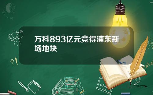 万科893亿元竞得浦东新场地块