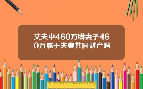 丈夫中460万瞒妻子460万属于夫妻共同财产吗