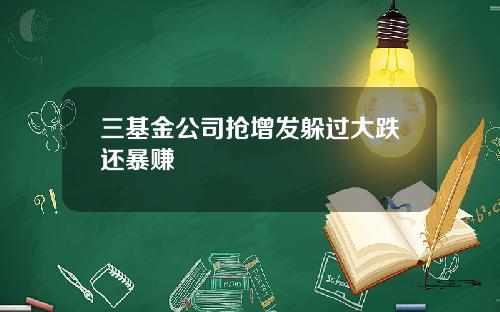 三基金公司抢增发躲过大跌还暴赚