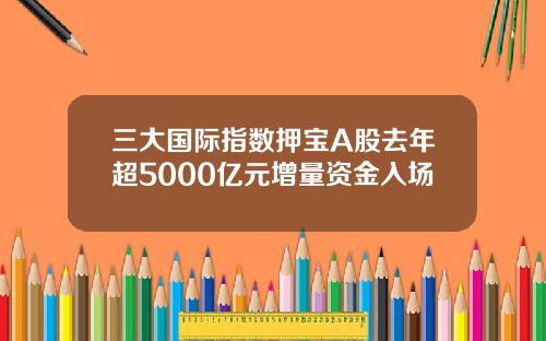 三大国际指数押宝A股去年超5000亿元增量资金入场