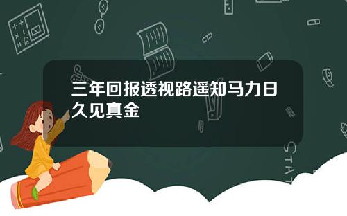 三年回报透视路遥知马力日久见真金