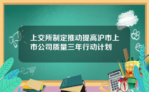 上交所制定推动提高沪市上市公司质量三年行动计划