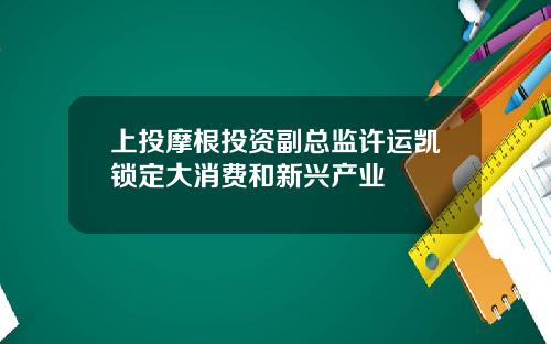 上投摩根投资副总监许运凯锁定大消费和新兴产业