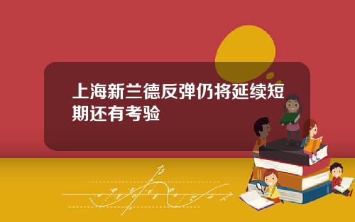 上海新兰德反弹仍将延续短期还有考验