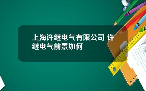 上海许继电气有限公司 许继电气前景如何