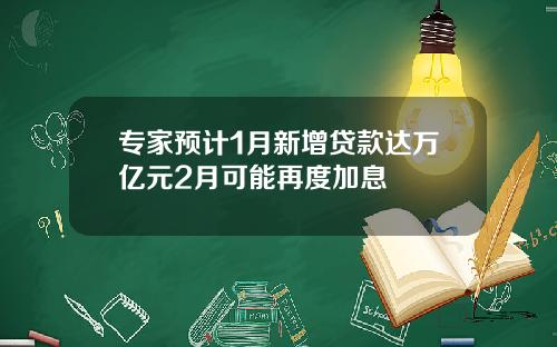 专家预计1月新增贷款达万亿元2月可能再度加息