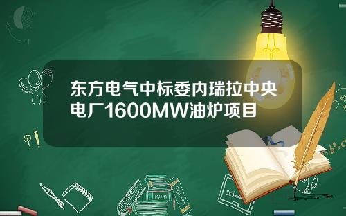 东方电气中标委内瑞拉中央电厂1600MW油炉项目