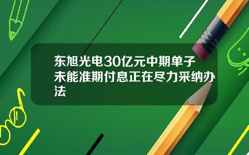 东旭光电30亿元中期单子未能准期付息正在尽力采纳办法