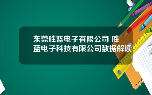 东莞胜蓝电子有限公司 胜蓝电子科技有限公司数据解读