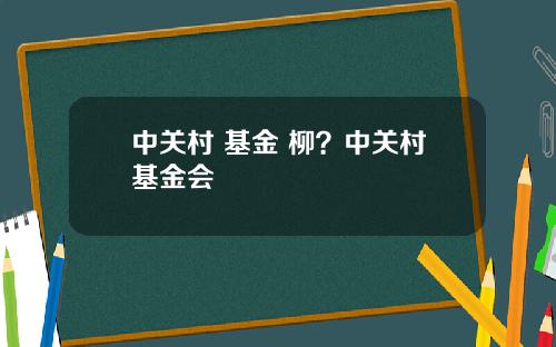 中关村 基金 柳？中关村基金会