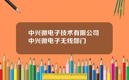 中兴微电子技术有限公司 中兴微电子无线部门