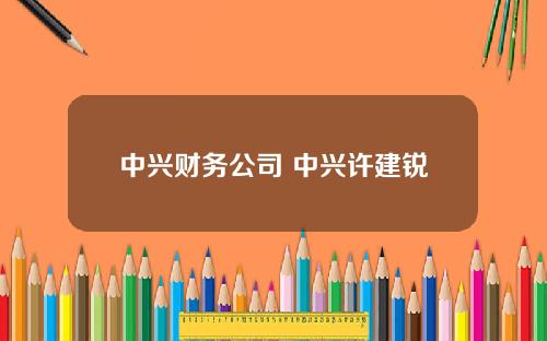 中兴财务公司 中兴许建锐