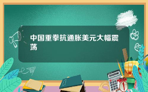 中国重拳抗通胀美元大幅震荡