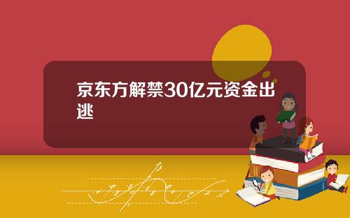 京东方解禁30亿元资金出逃