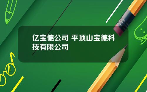 亿宝德公司 平顶山宝德科技有限公司