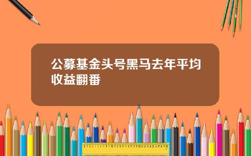 公募基金头号黑马去年平均收益翻番