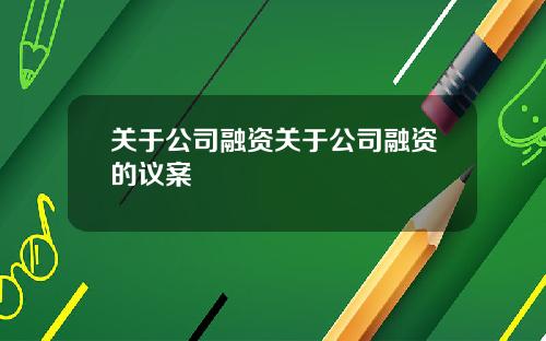 关于公司融资关于公司融资的议案