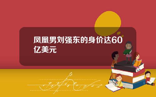 凤凰男刘强东的身价达60亿美元