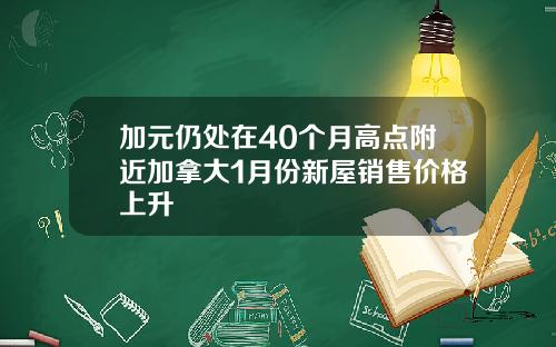 加元仍处在40个月高点附近加拿大1月份新屋销售价格上升