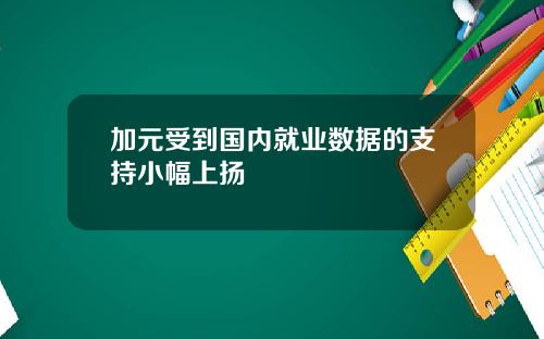 加元受到国内就业数据的支持小幅上扬