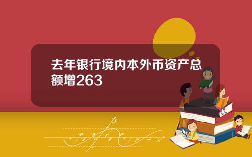 去年银行境内本外币资产总额增263