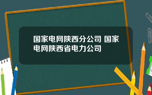 国家电网陕西分公司 国家电网陕西省电力公司