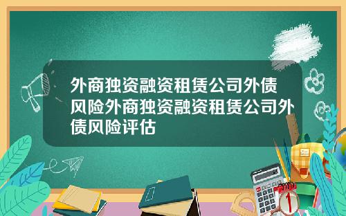 外商独资融资租赁公司外债风险外商独资融资租赁公司外债风险评估