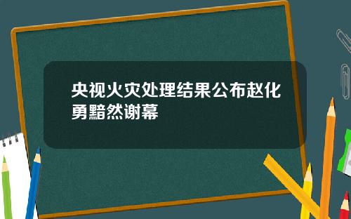 央视火灾处理结果公布赵化勇黯然谢幕