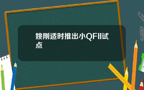 姚刚适时推出小QFII试点