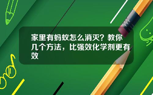 家里有蚂蚁怎么消灭？教你几个方法，比强效化学剂更有效