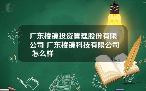 广东棱镜投资管理股份有限公司 广东棱镜科技有限公司 怎么样