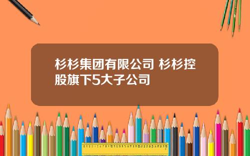 杉杉集团有限公司 杉杉控股旗下5大子公司