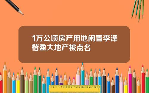 1万公顷房产用地闲置李泽楷盈大地产被点名