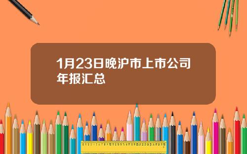 1月23日晚沪市上市公司年报汇总