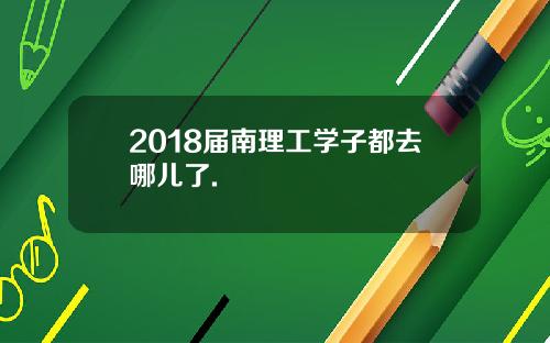 2018届南理工学子都去哪儿了.