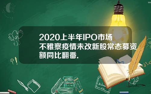 2020上半年IPO市场不雅察疫情未改新股常态募资额同比翻番.