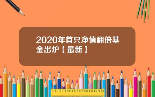 2020年首只净值翻倍基金出炉【最新】