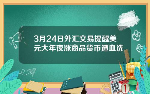 3月24日外汇交易提醒美元大年夜涨商品货币遭血洗