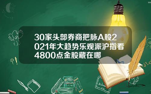 30家头部券商把脉A股2021年大趋势乐观派沪指看4800点金股藏在哪