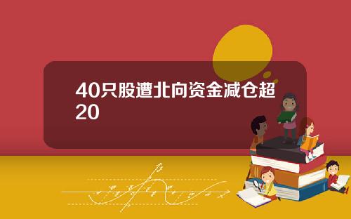 40只股遭北向资金减仓超20