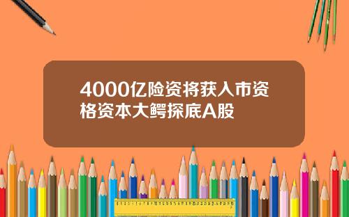 4000亿险资将获入市资格资本大鳄探底A股