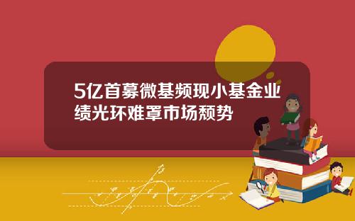 5亿首募微基频现小基金业绩光环难罩市场颓势