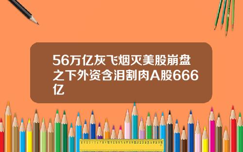 56万亿灰飞烟灭美股崩盘之下外资含泪割肉A股666亿