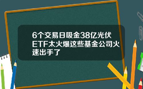 6个交易日吸金38亿光伏ETF太火爆这些基金公司火速出手了