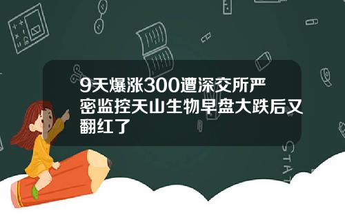 9天爆涨300遭深交所严密监控天山生物早盘大跌后又翻红了