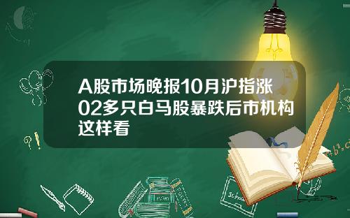 A股市场晚报10月沪指涨02多只白马股暴跌后市机构这样看