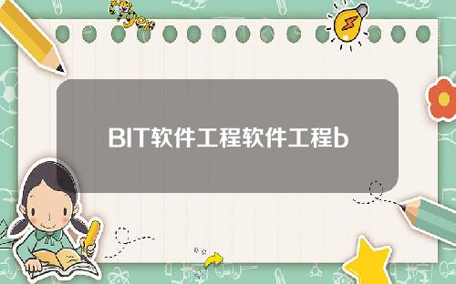 BIT软件工程软件工程b