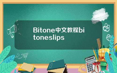 Bitone中文教程bitoneslips