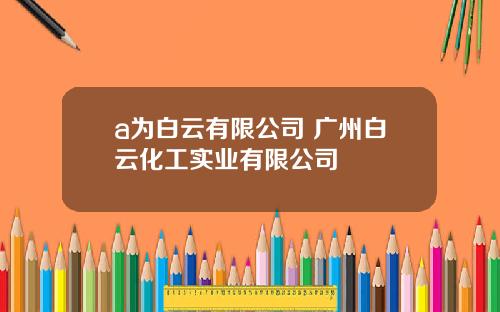 a为白云有限公司 广州白云化工实业有限公司